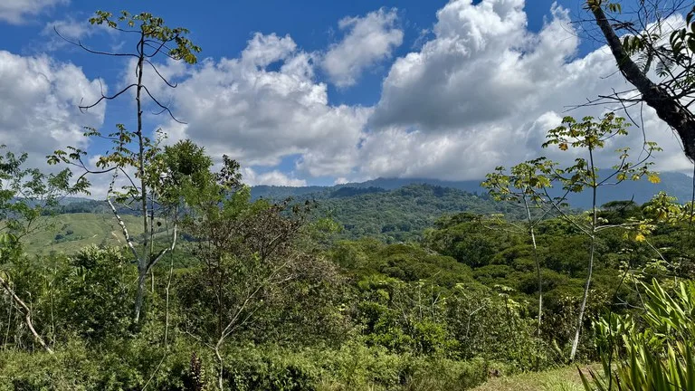 New 1,4 Acre lot in Platanillo – With Legal Water, photo 7