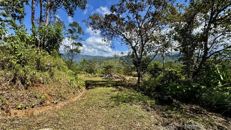 New 1,4 Acre lot in Platanillo – With Legal Water, photo 9