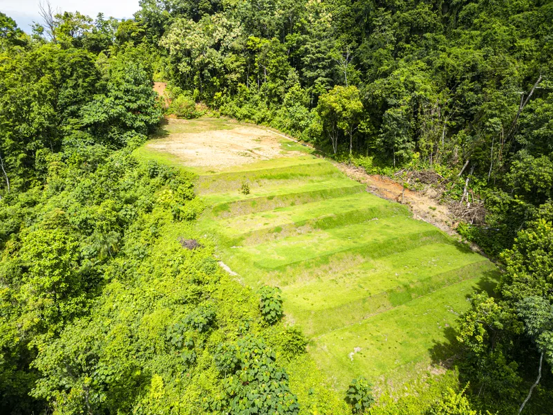 Land For Sale in Ojochal