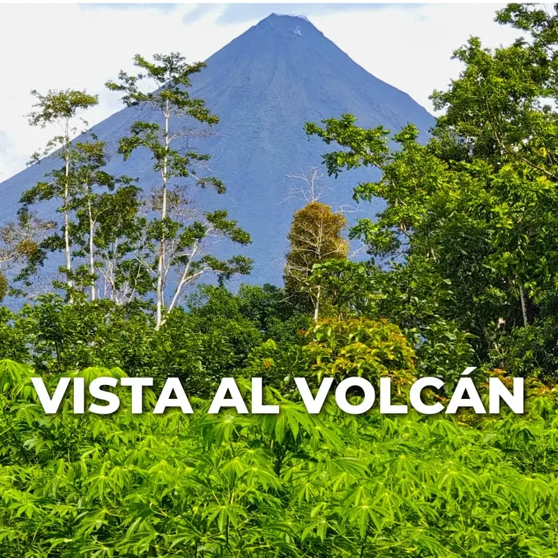 Farm for Sale with Cabin and Crops | 14,300 m² | Arenal Volcano View