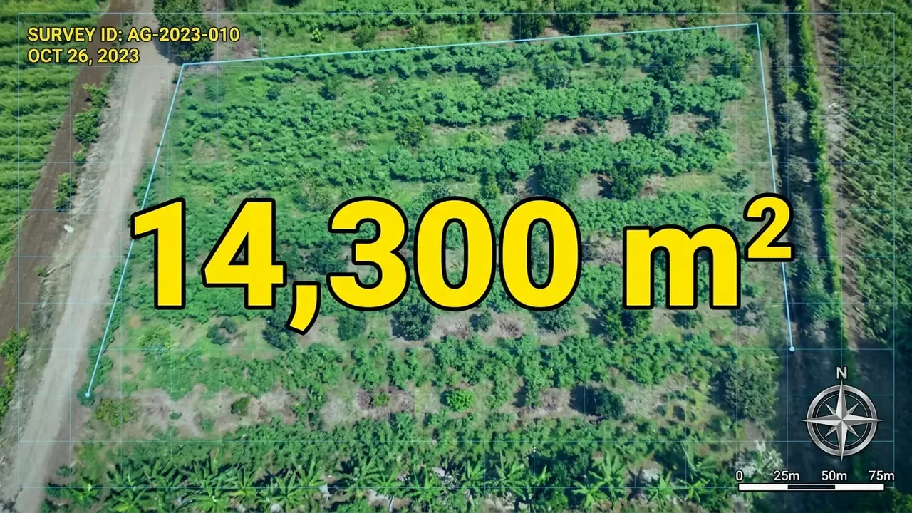 Farm for Sale with Cabin and Crops | 14,300 m² | Arenal Volcano View, photo 2
