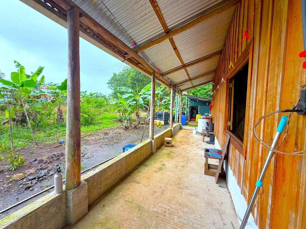 Farm for Sale with Cabin and Crops | 14,300 m² | Arenal Volcano View, photo 11