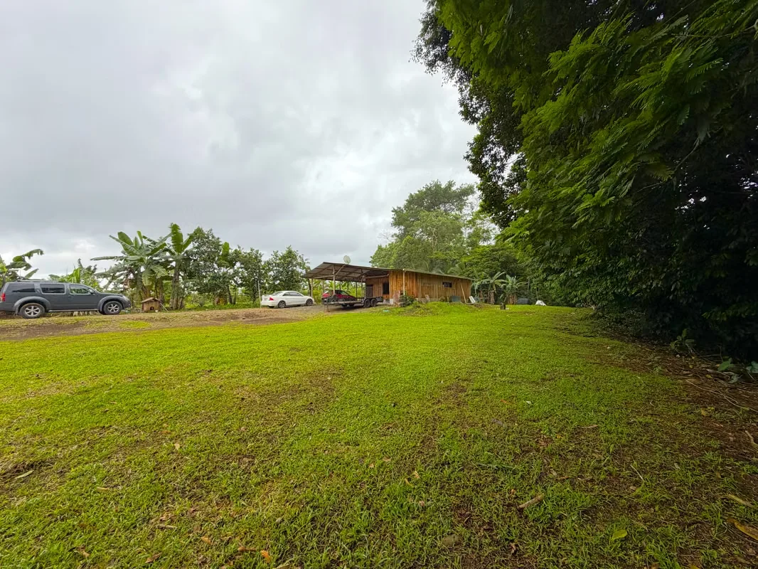 Farm for Sale with Cabin and Crops | 14,300 m² | Arenal Volcano View, photo 13
