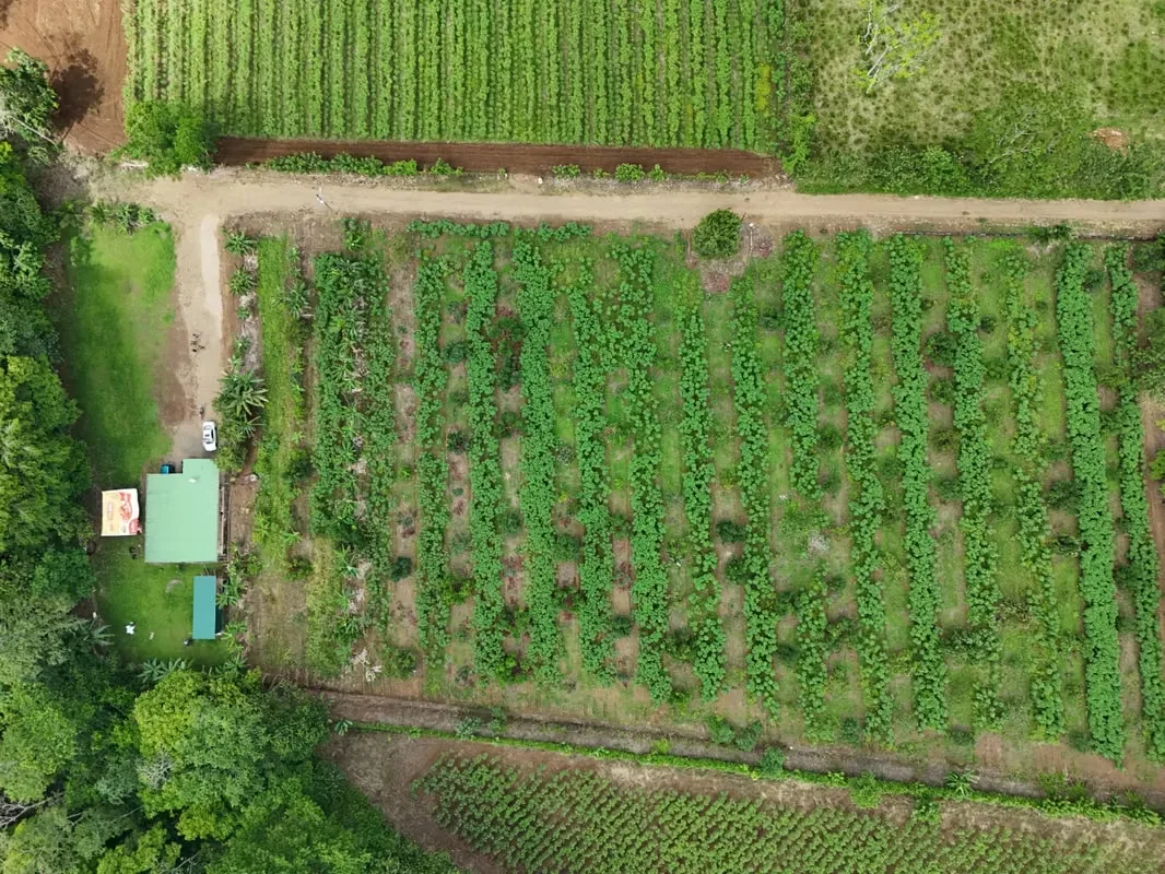 Farm for Sale with Cabin and Crops | 14,300 m² | Arenal Volcano View, photo 16