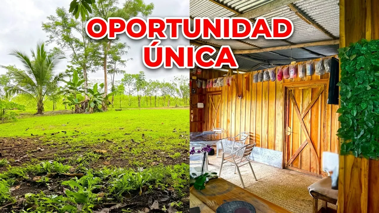 Farm for Sale with Cabin and Crops | 14,300 m² | Arenal Volcano View, photo 4