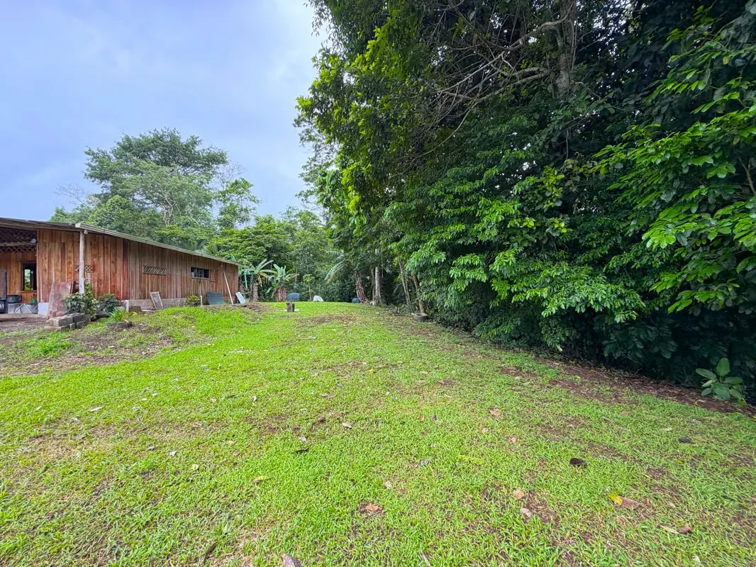 Farm for Sale with Cabin and Crops | 14,300 m² | Arenal Volcano View, photo 6