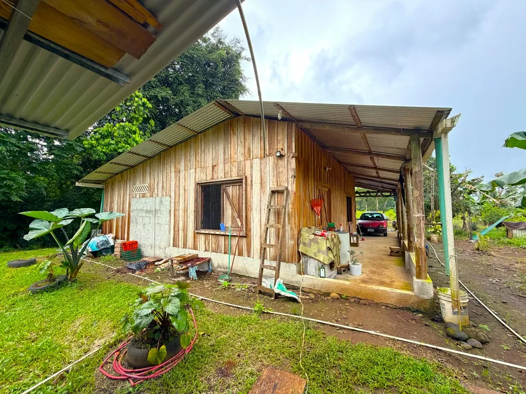Farm for Sale with Cabin and Crops | 14,300 m² | Arenal Volcano View, photo 7