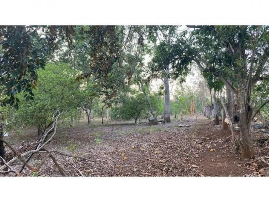 VENTA DE LOTES, ALAJUELA, OROTINA, COYOLAR - Venta en Orotina