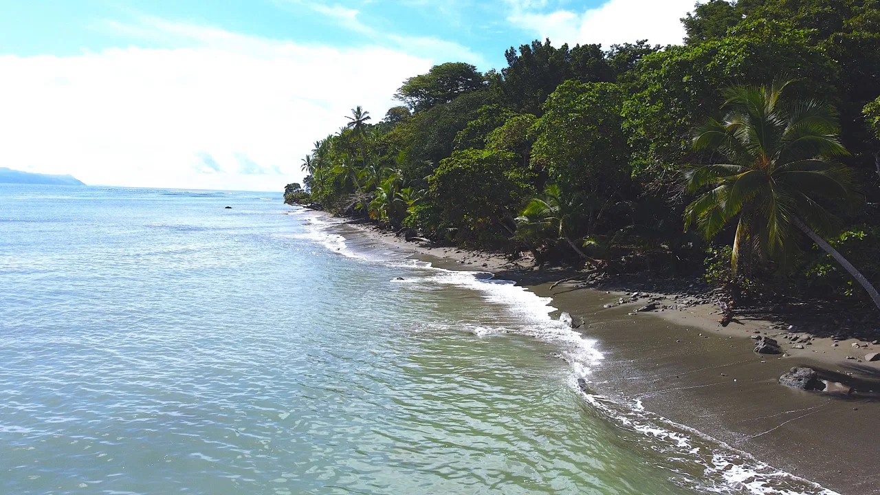 Beachfront Jungle Haven