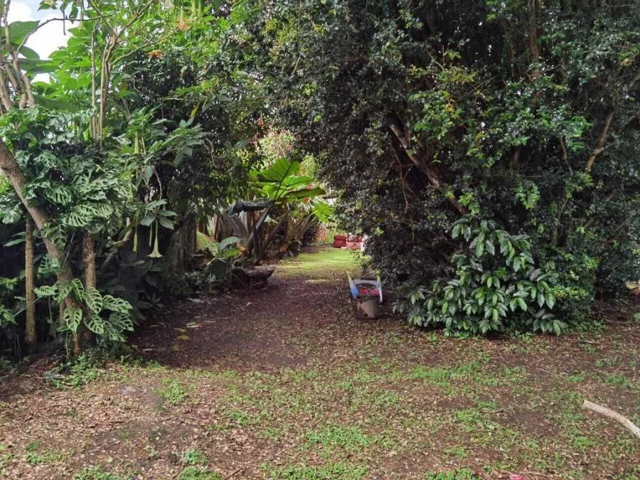 Lote en Venta en Montes de Oca, San Rafael. RAH 24-1021 - Venta en Montes de Oca, photo 3