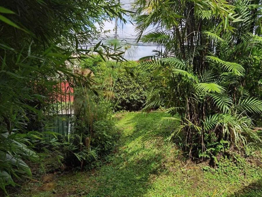 Lote en Venta en Montes de Oca, San Rafael. RAH 24-1021 - Venta en Montes de Oca, photo 4