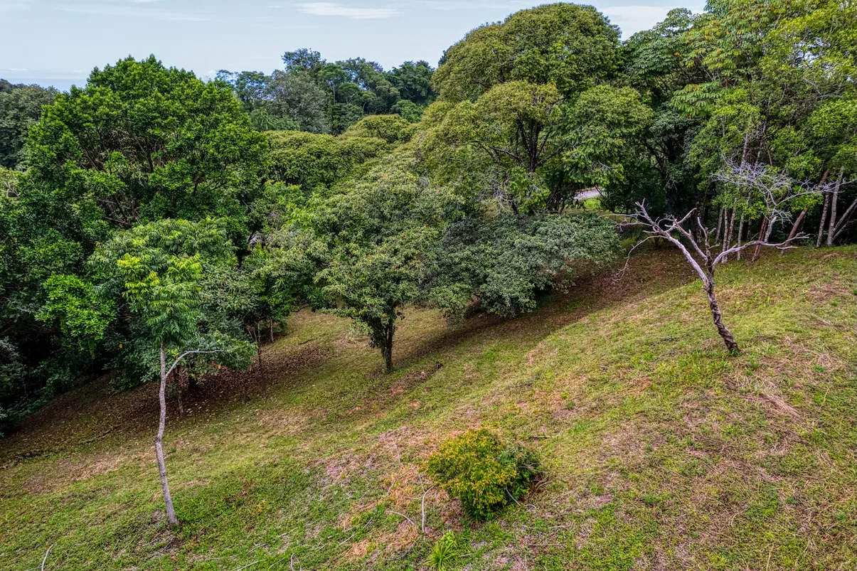 BUILDING PROPERTY WITH MOUNTAIN VIEWS A STEPS OF OJOCHAL – 2.64 ACRES, photo 13