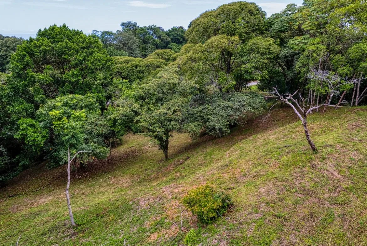 BUILDING PROPERTY WITH MOUNTAIN VIEWS A STEPS OF OJOCHAL – 2.64 ACRES, photo 14
