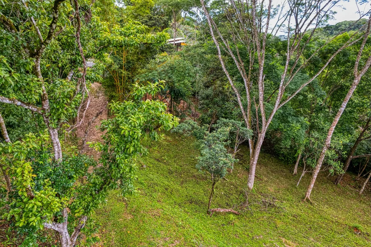 BUILDING PROPERTY WITH MOUNTAIN VIEWS A STEPS OF OJOCHAL – 2.64 ACRES, photo 15