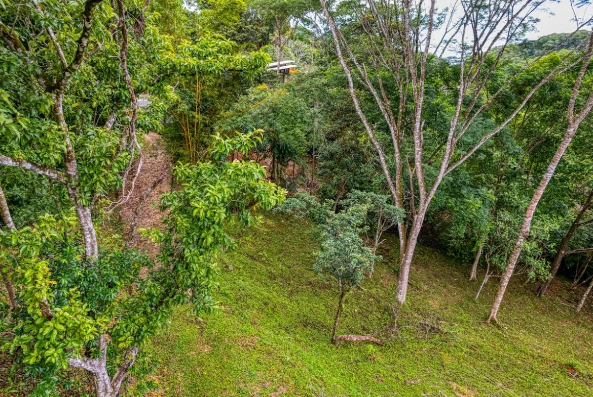 BUILDING PROPERTY WITH MOUNTAIN VIEWS A STEPS OF OJOCHAL – 2.64 ACRES, photo 16