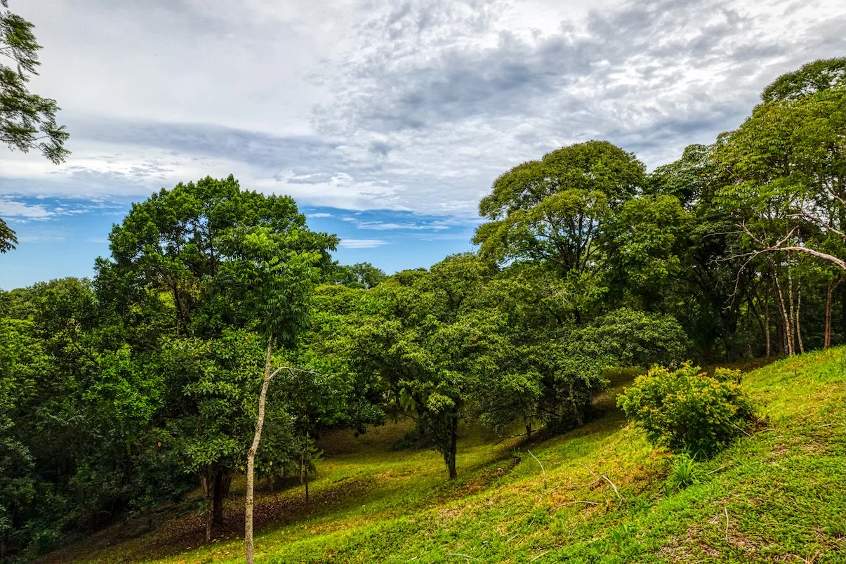 BUILDING PROPERTY WITH MOUNTAIN VIEWS A STEPS OF OJOCHAL – 2.64 ACRES, photo 17