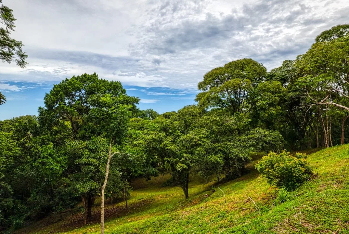 BUILDING PROPERTY WITH MOUNTAIN VIEWS A STEPS OF OJOCHAL – 2.64 ACRES, photo 18