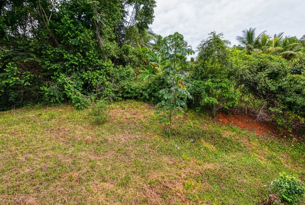 BUILDING PROPERTY WITH MOUNTAIN VIEWS A STEPS OF OJOCHAL – 2.64 ACRES, photo 10