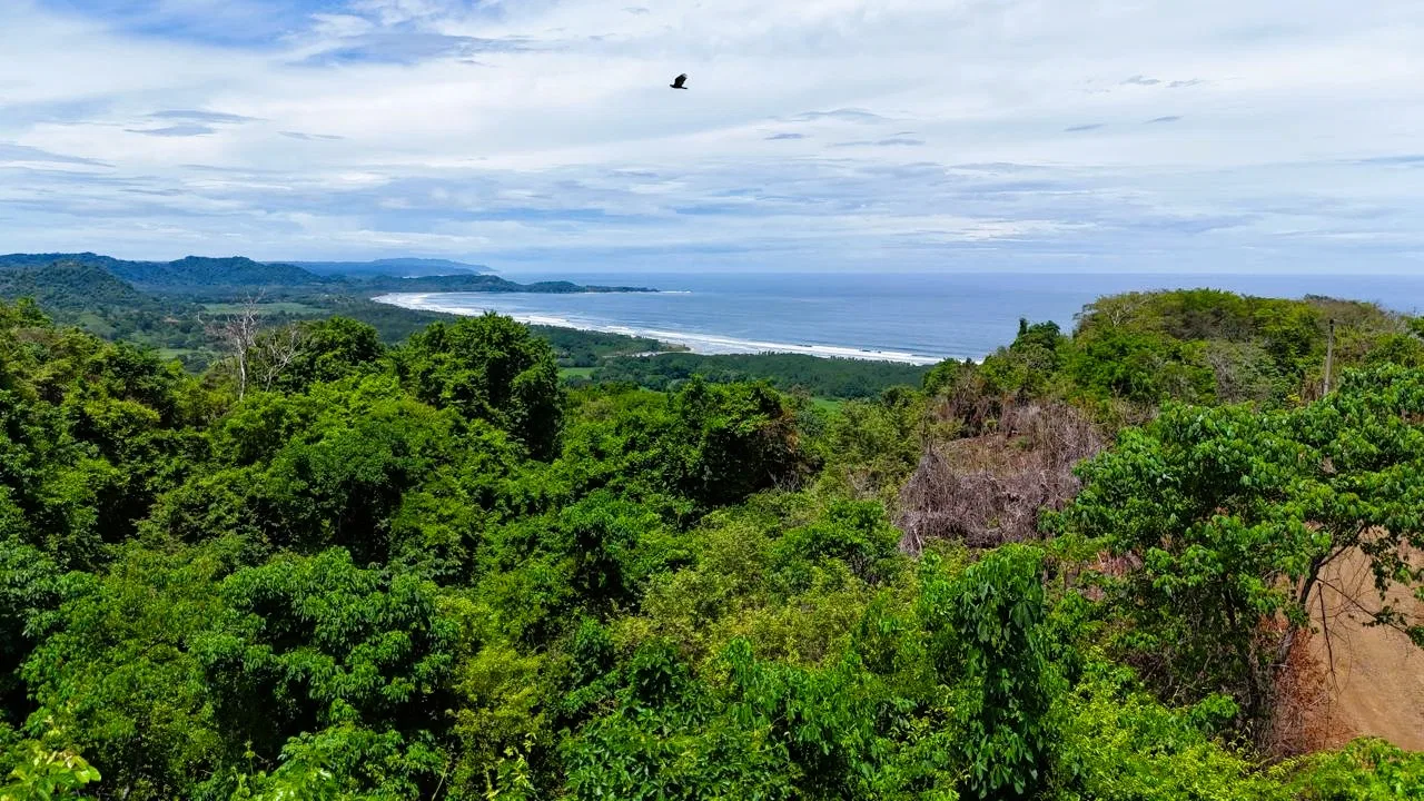 Ananda Ocean Estates - Playa San Miguel, photo 8