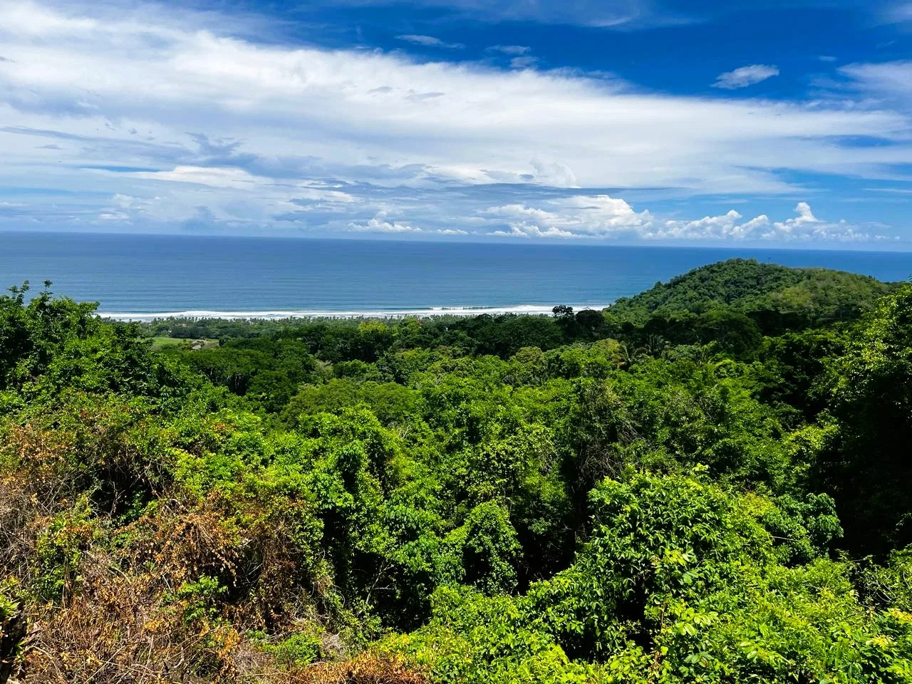 Ananda Ocean Estates - Playa San Miguel, photo 9