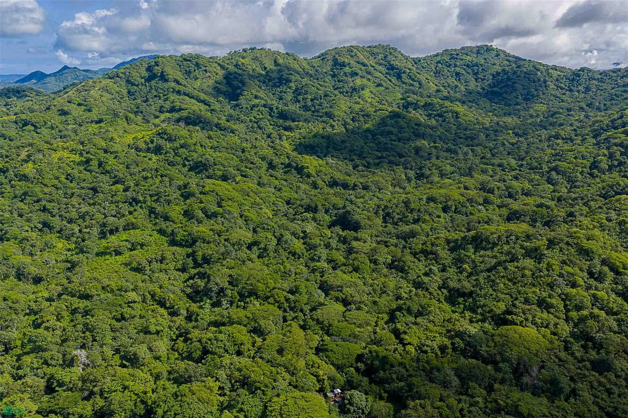 Desarrollo ecológico de 232 acres con vistas al mar cerca de Tamarindo, photo 2