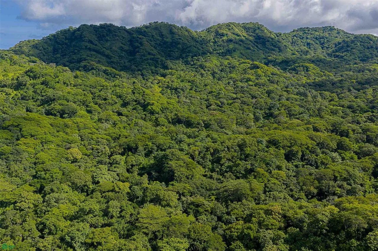 Desarrollo ecológico de 232 acres con vistas al mar cerca de Tamarindo, photo 12
