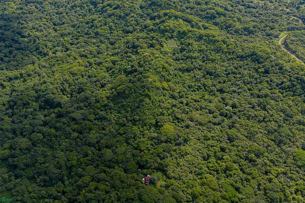 Desarrollo ecológico de 232 acres con vistas al mar cerca de Tamarindo, photo 13