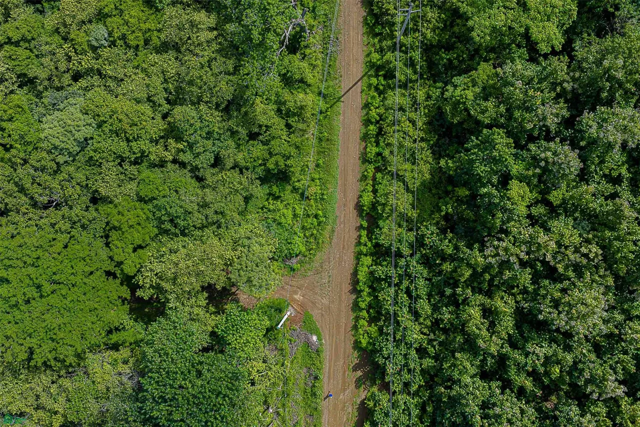 Desarrollo ecológico de 232 acres con vistas al mar cerca de Tamarindo, photo 15
