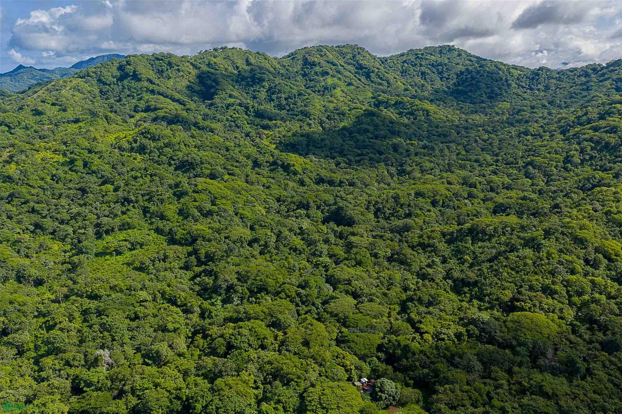 Desarrollo ecológico de 232 acres con vistas al mar cerca de Tamarindo, photo 3