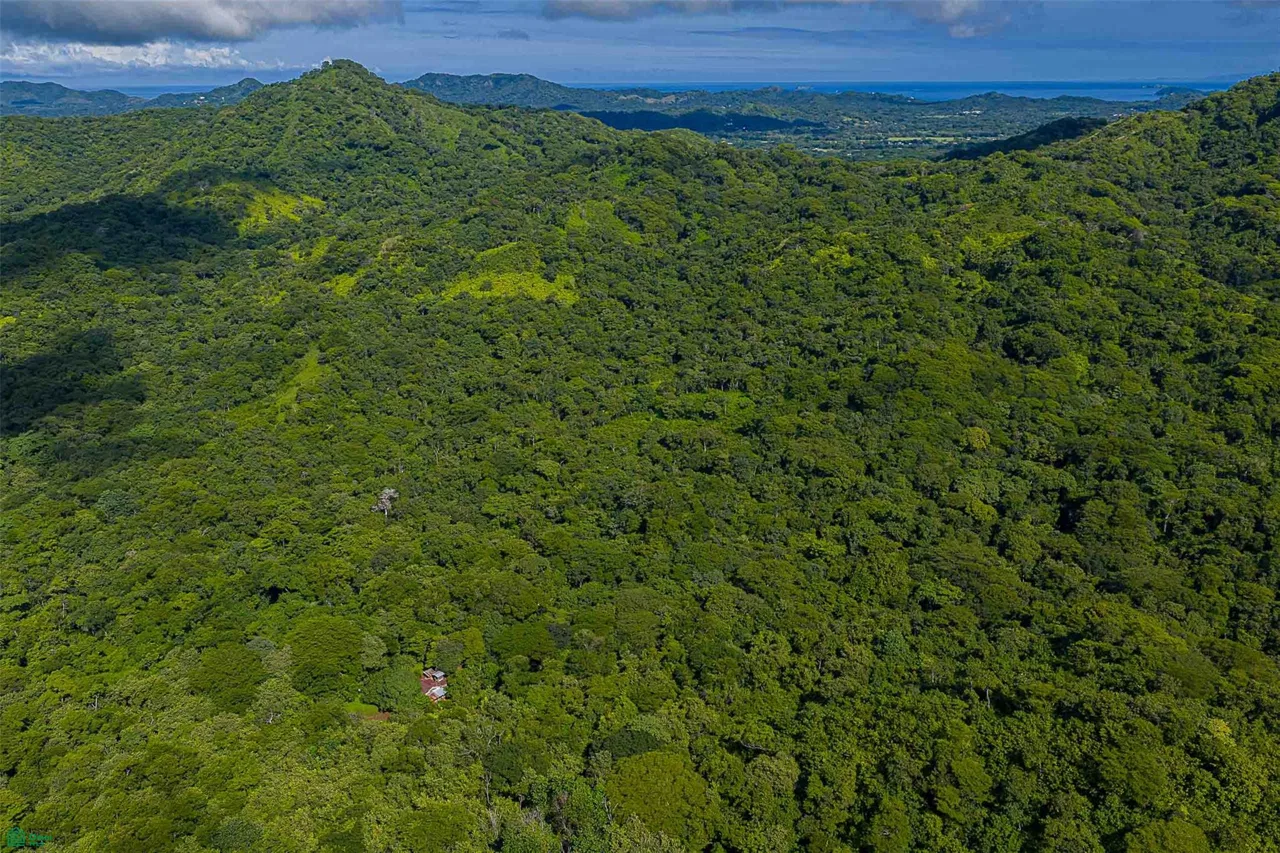 Desarrollo ecológico de 232 acres con vistas al mar cerca de Tamarindo, photo 4
