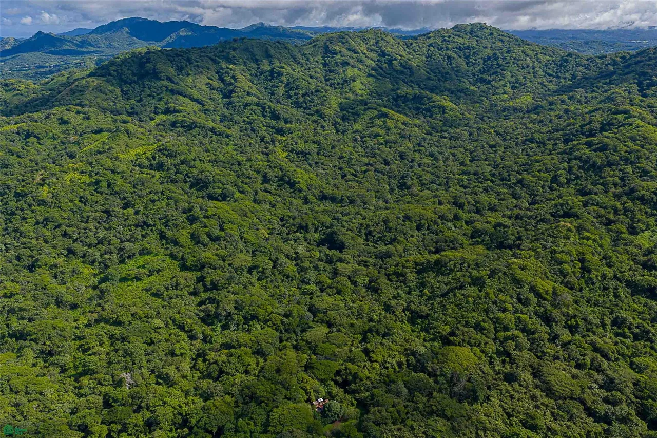 Desarrollo ecológico de 232 acres con vistas al mar cerca de Tamarindo, photo 6