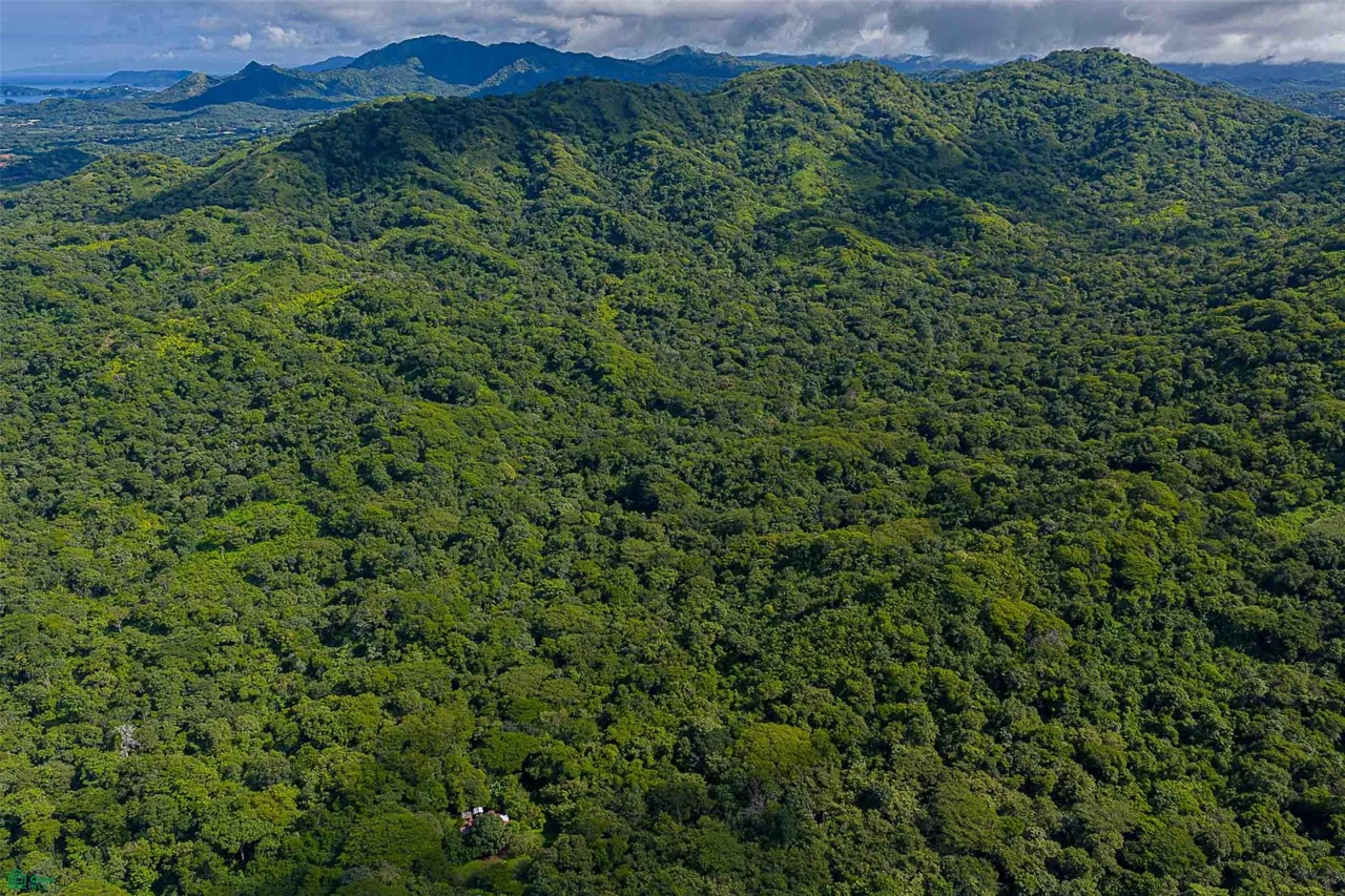 Desarrollo ecológico de 232 acres con vistas al mar cerca de Tamarindo, photo 7