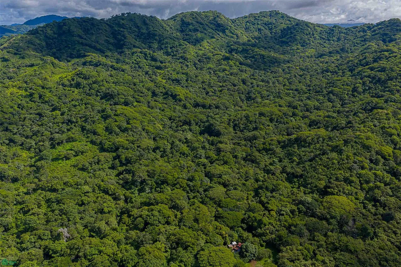 Desarrollo ecológico de 232 acres con vistas al mar cerca de Tamarindo, photo 8