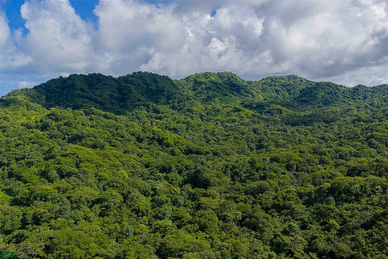 Desarrollo ecológico de 232 acres con vistas al mar cerca de Tamarindo, photo 9