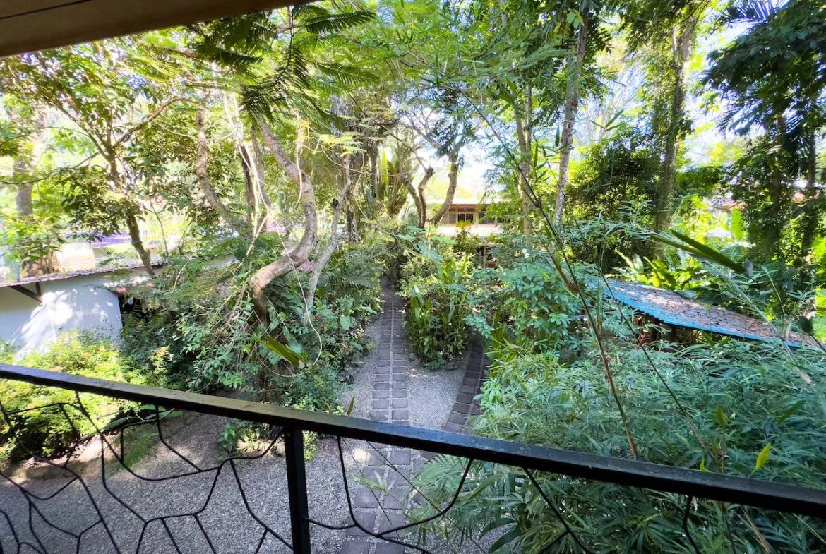 14 ROOM HOTEL WALKING DISTANCE TO THE BEACH IN DOMINICAL, photo 12
