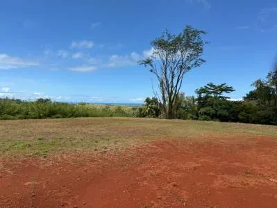 Lote de 2,528 m² con vista al mar en venta en Uvita – Perfecto para una o dos casas, photo 5