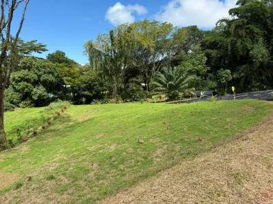 Lote de 2,528 m² con vista al mar en venta en Uvita – Perfecto para una o dos casas, photo 6
