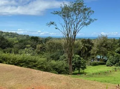 Lote de 2,528 m² con vista al mar en venta en Uvita – Perfecto para una o dos casas, photo 9