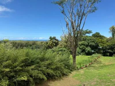 Lote de 2,528 m² con vista al mar en venta en Uvita – Perfecto para una o dos casas, photo 10