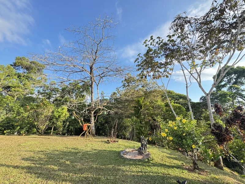 2 Bed Single Family Homes For Sale in Perez Zeledon, photo 12