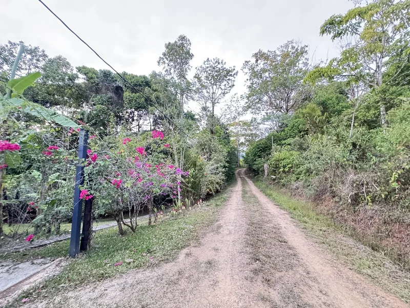 2 Bed Single Family Homes For Sale in Perez Zeledon, photo 14
