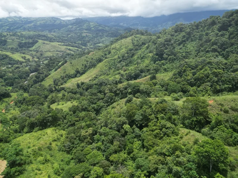 Land For Sale in Dominical, photo 11
