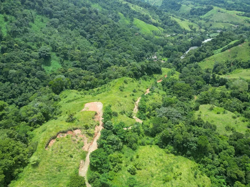Land For Sale in Dominical, photo 12