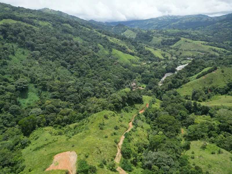 Land For Sale in Dominical, photo 13