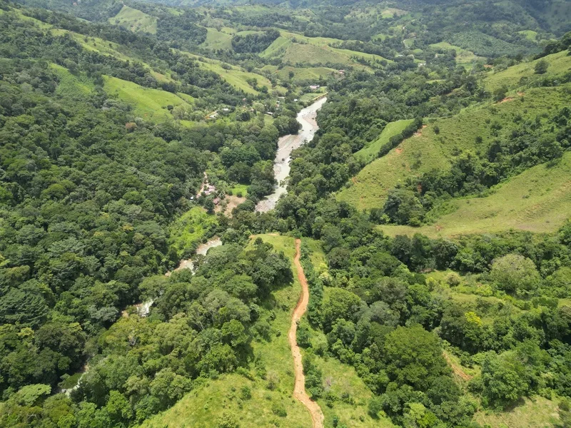 Land For Sale in Dominical, photo 14