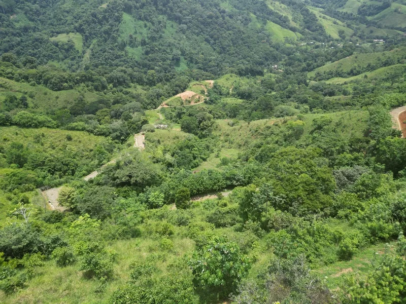 Land For Sale in Dominical, photo 3