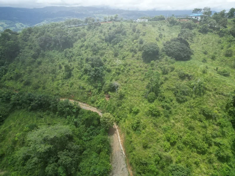 Land For Sale in Dominical, photo 8
