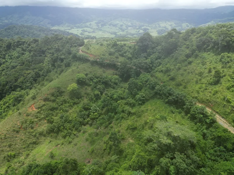 Land For Sale in Dominical, photo 9