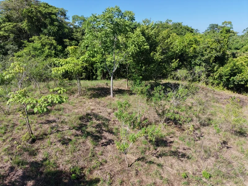 Land For Sale in Delicias