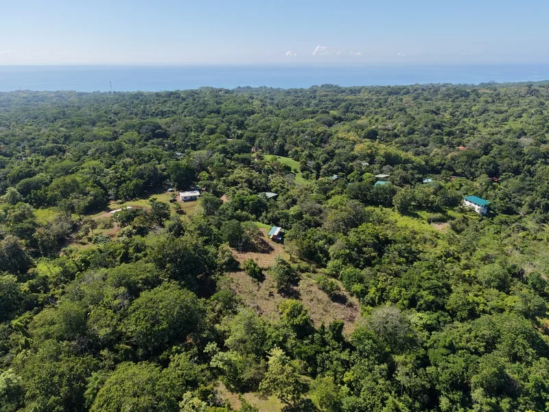 Land For Sale in Delicias, photo 2